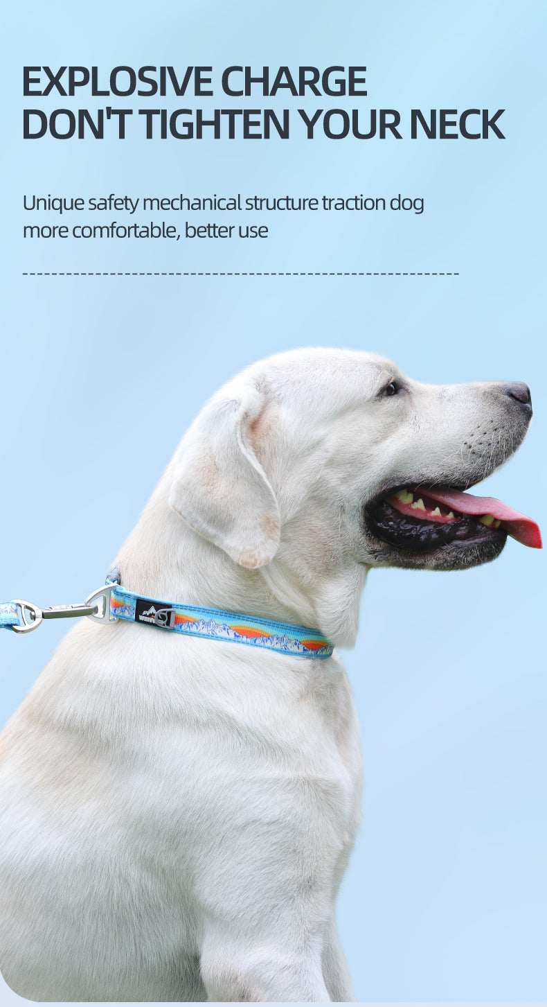 威福迪项圈英文_02.jpg|hash:ffb4d15fc3b6642d75100fe230225b3d|type:detail