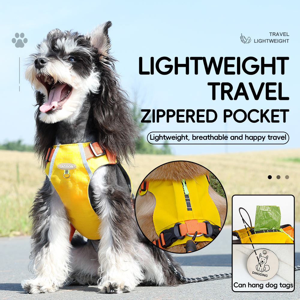 10.jpg|hash:c8bd8ff8368a1982b19a4fa3dd2551e6|type:main