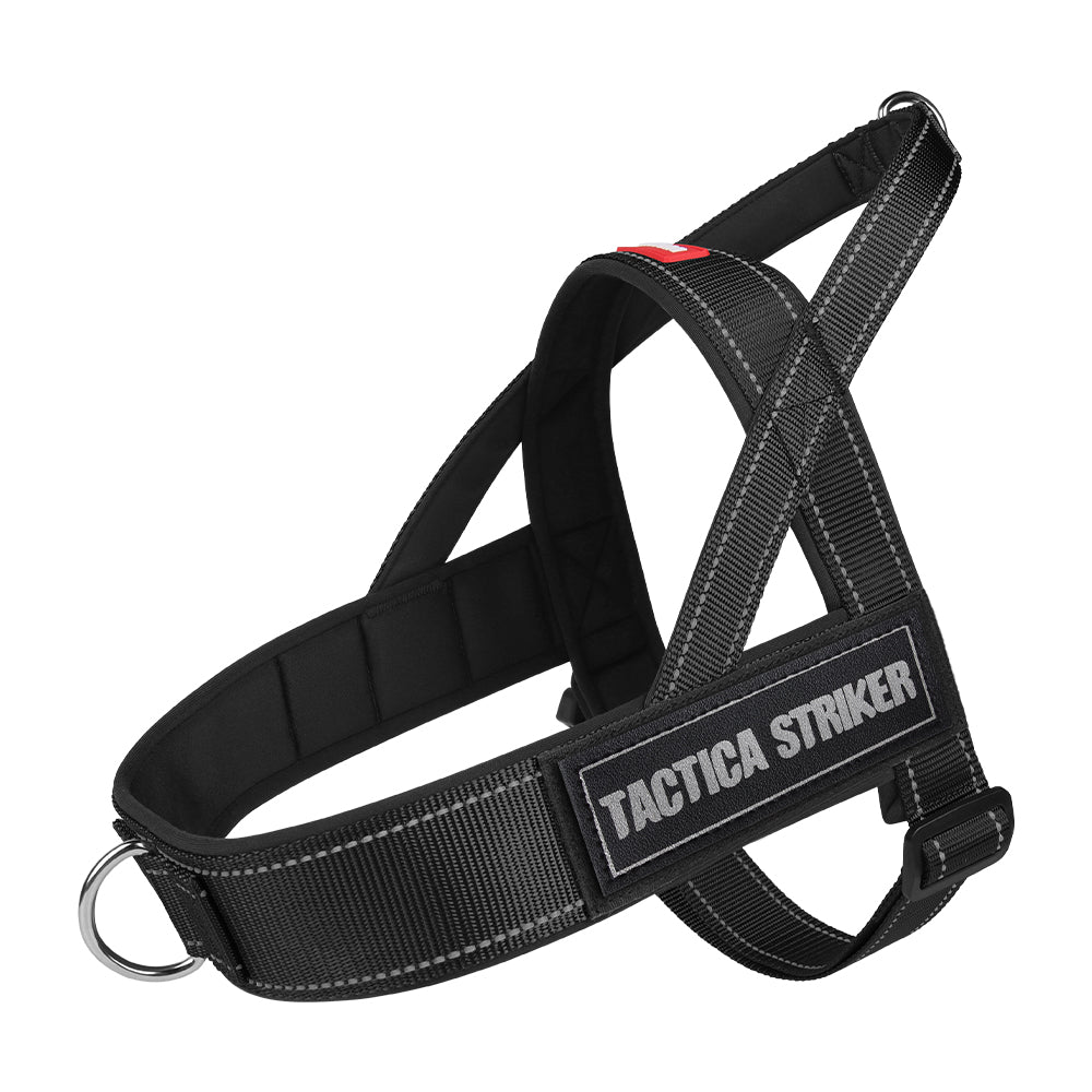 Reflective Dog Walking Bundle - Shock-Absorbing Leash & Large Breed Harness