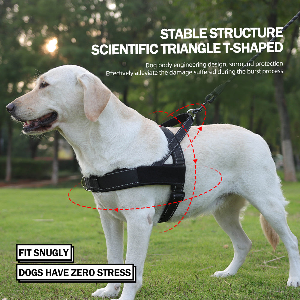 2.jpg|hash:e2c9b7da127172f12da9d8b3007f167c|type:main