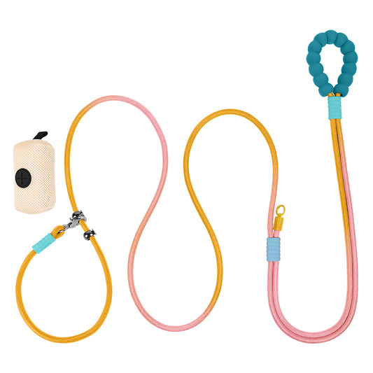 Dual-Color Dog Leash with Waste Bag
