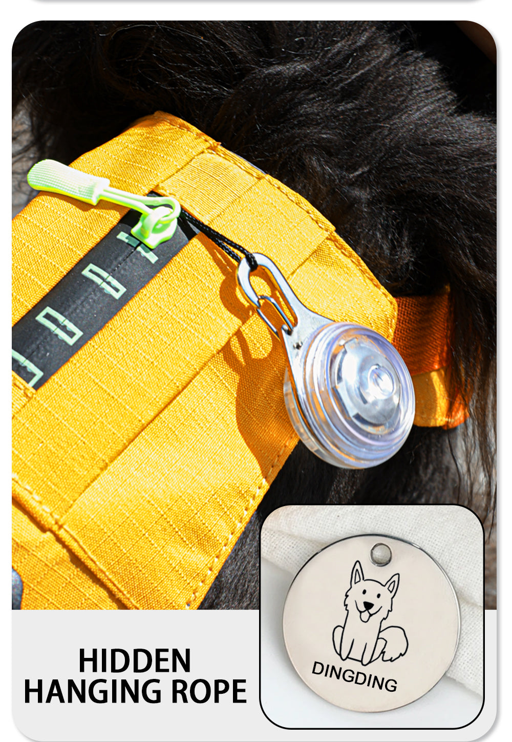 8912¤ÛÃÚËó╬─░µ_09.jpg|hash:291ef1decb1475b3e5fe2416260067a7|type:detail