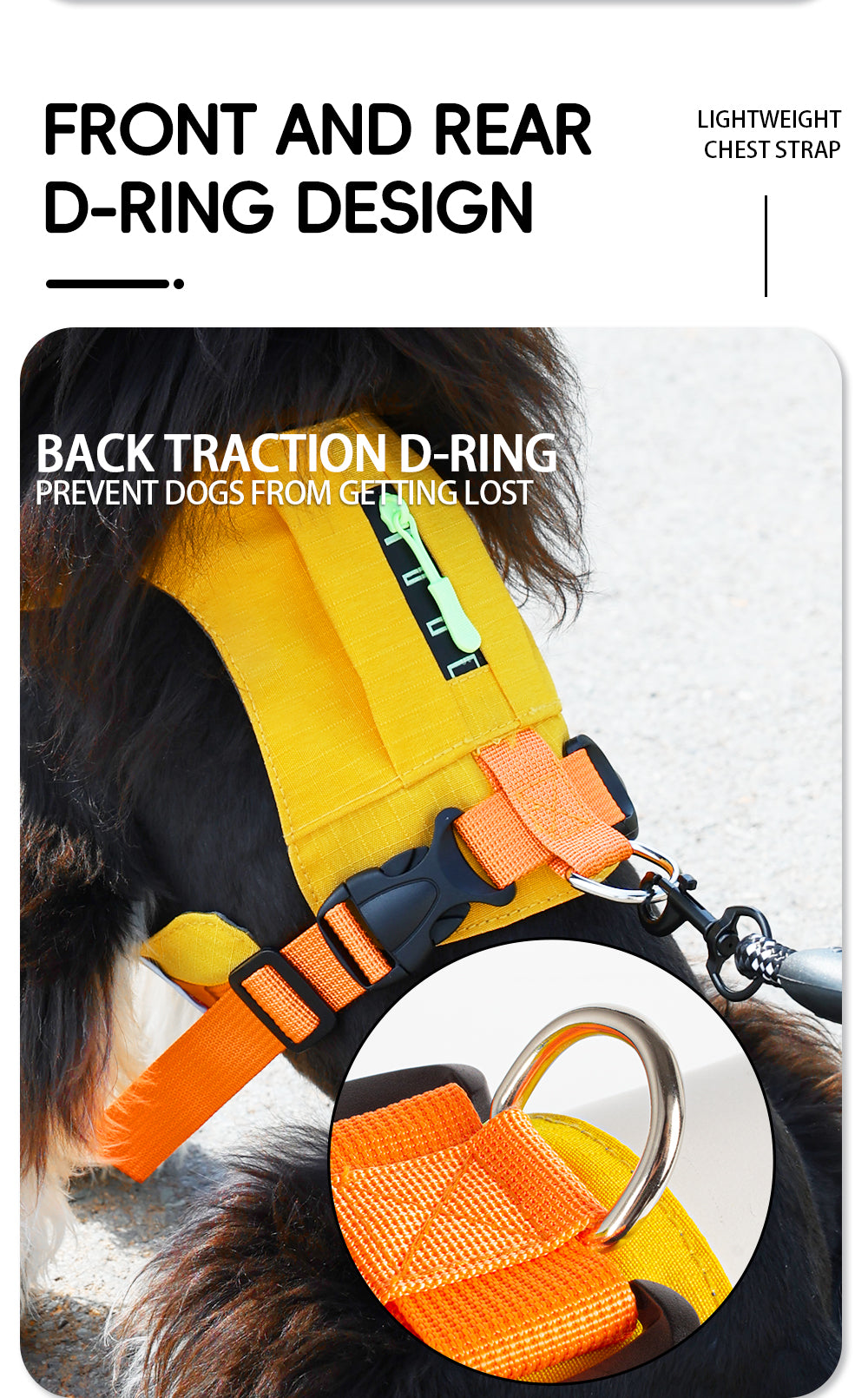 8912¤ÛÃÚËó╬─░µ_10.jpg|hash:648901916e68fee04b78449660597348|type:detail