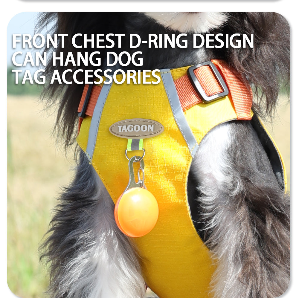 8912¤ÛÃÚËó╬─░µ_11.jpg|hash:70eee954ce9a3c9c597ede248fefb89a|type:detail