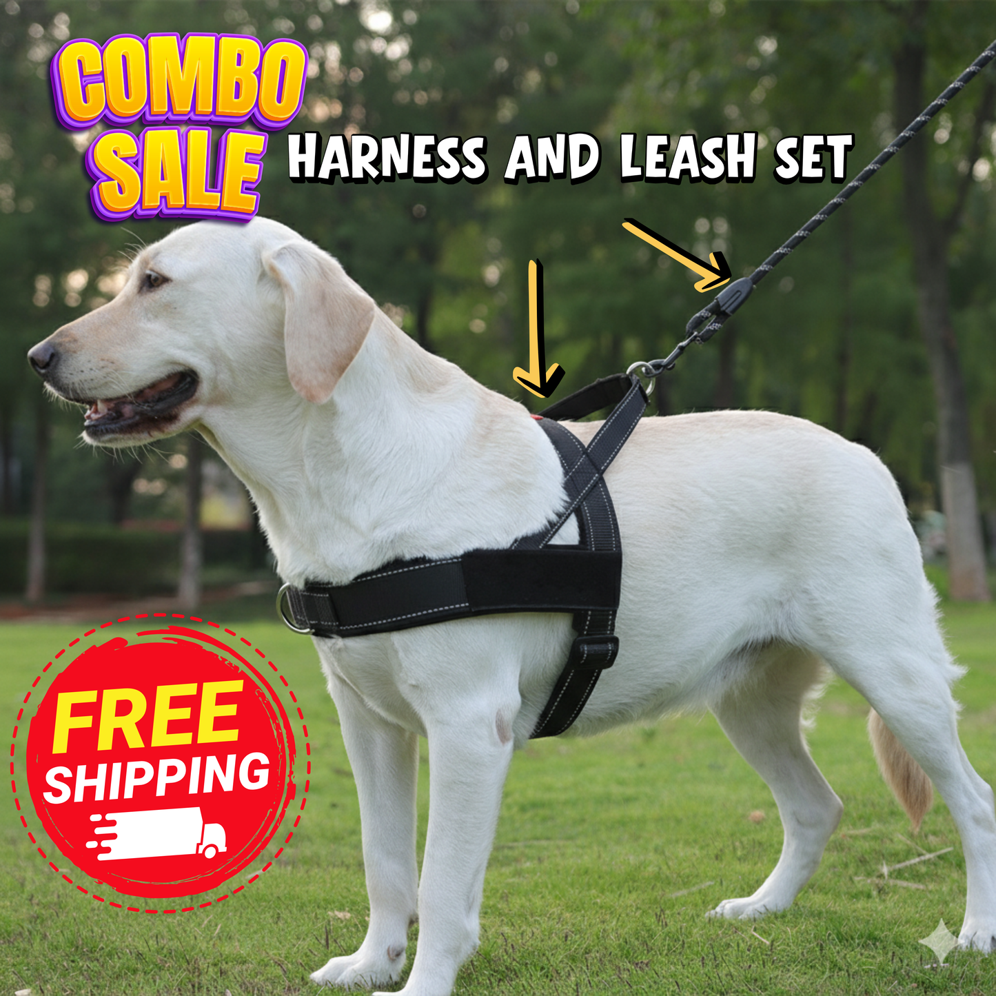 Reflective Dog Walking Bundle - Shock-Absorbing Leash & Large Breed Harness