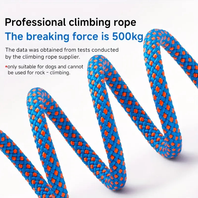 Competition Grade Dog Training Leash