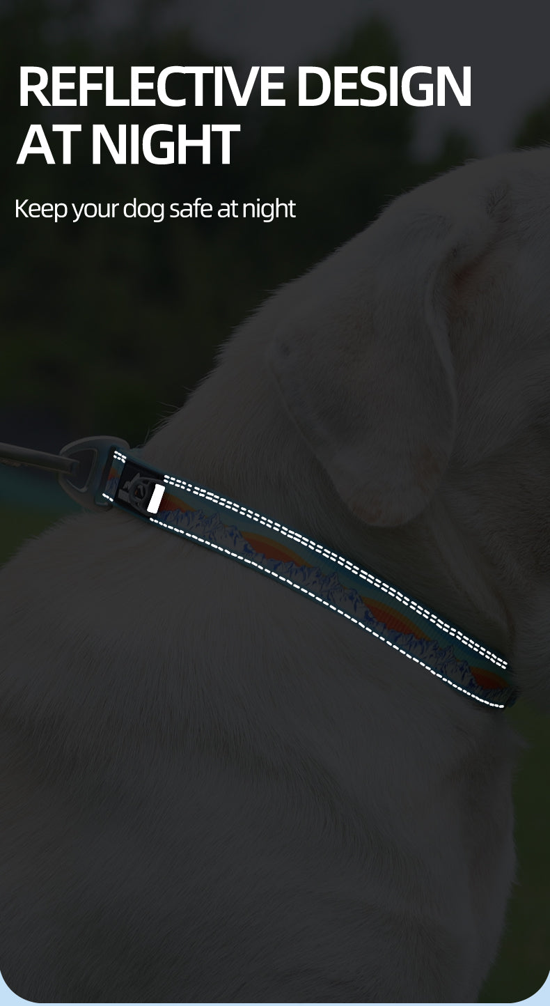 威福迪项圈英文_05.jpg|hash:d253eea23cb6b7f9b91bdf61637d3094|type:detail