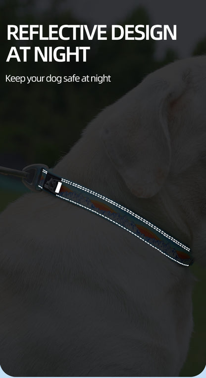 威福迪项圈英文_05.jpg|hash:d253eea23cb6b7f9b91bdf61637d3094|type:detail