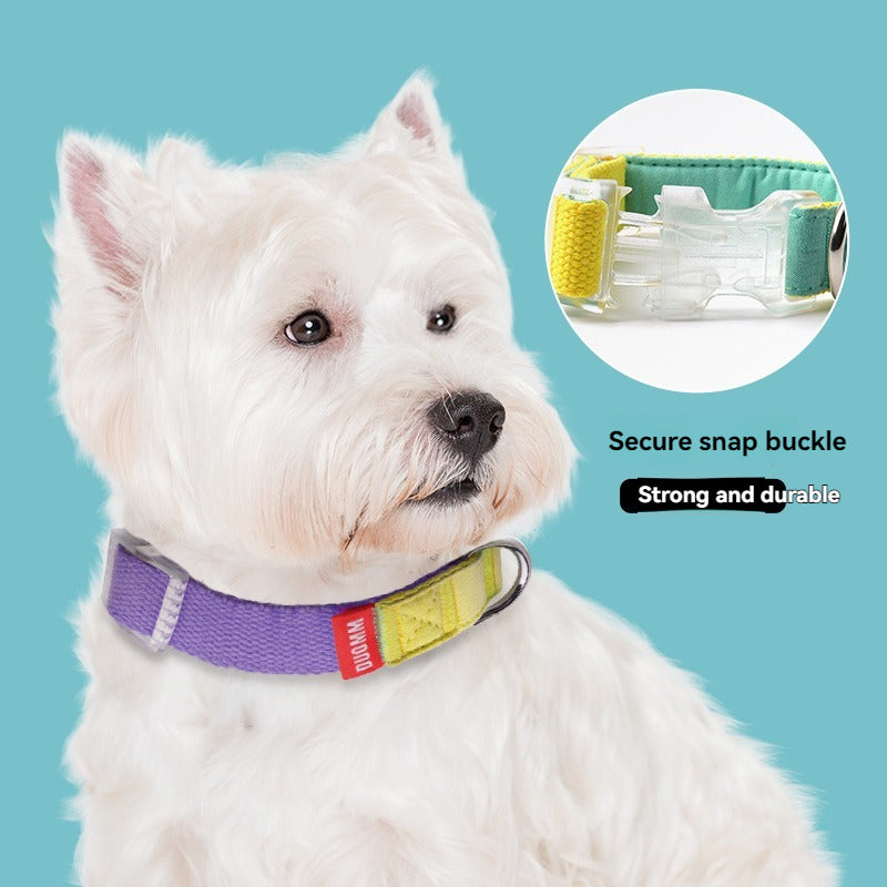 主图-1.jpg|hash:ae84d64d30089fbfed1eb0a5a84a6558|type:main