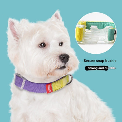 主图-1.jpg|hash:ae84d64d30089fbfed1eb0a5a84a6558|type:main