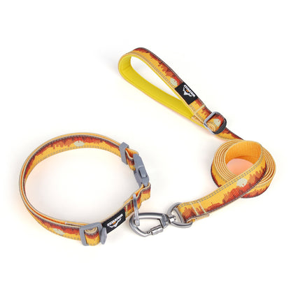 Patterned Dog Collar and Leash Combo