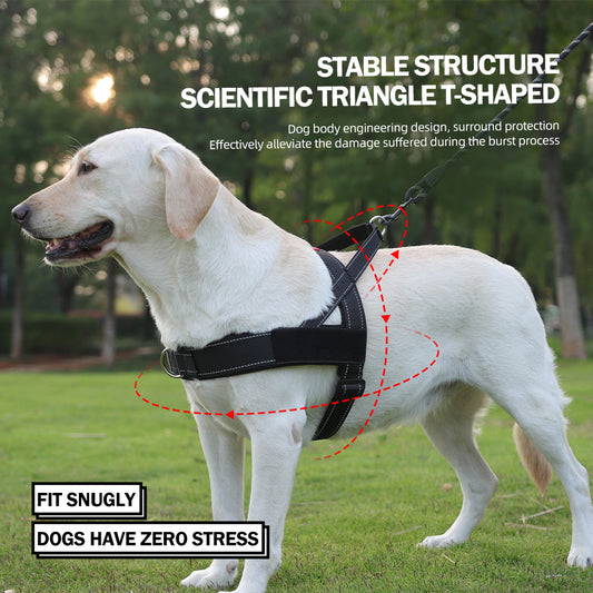 2.jpg|hash:e2c9b7da127172f12da9d8b3007f167c|type:main