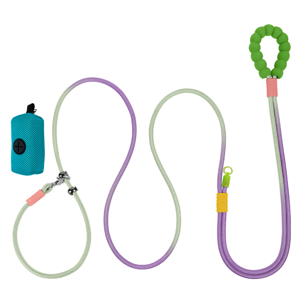Dual-Color Dog Leash with Waste Bag