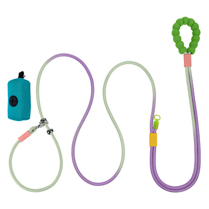 Dual-Color Dog Leash with Waste Bag