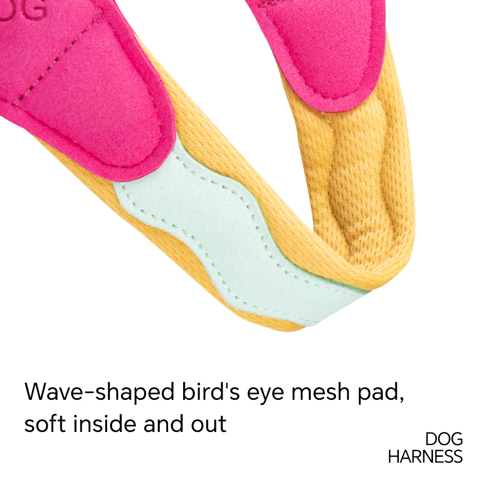 4.jpg|hash:8d4ef6b84b32baa50a0ee7b370d28045|type:detail