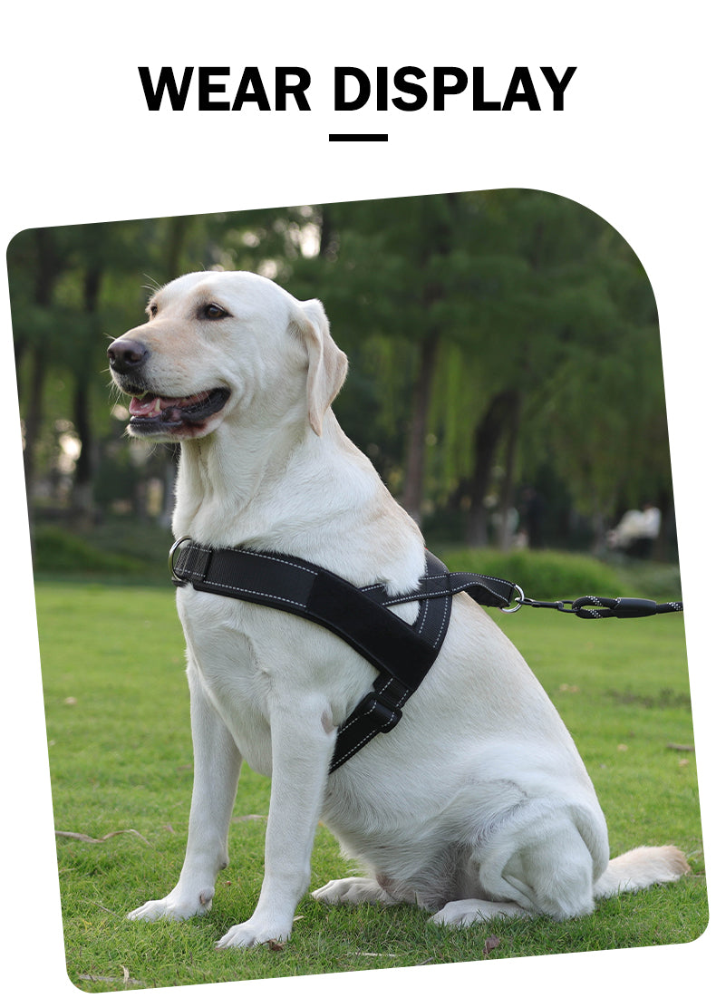 549英文_12.jpg|hash:b93c56ee0ba9197bef8a0b1cda8ef0ad|type:detail