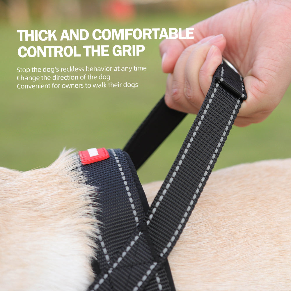 5.jpg|hash:e1d3e2ebbe458e56a4c3ce8fbb0a0000|type:main