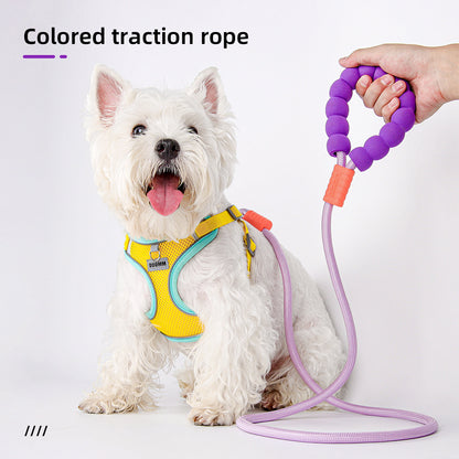 主图.jpg|hash:3f1d1999cc86713b74d9b59db8c0daec|type:main