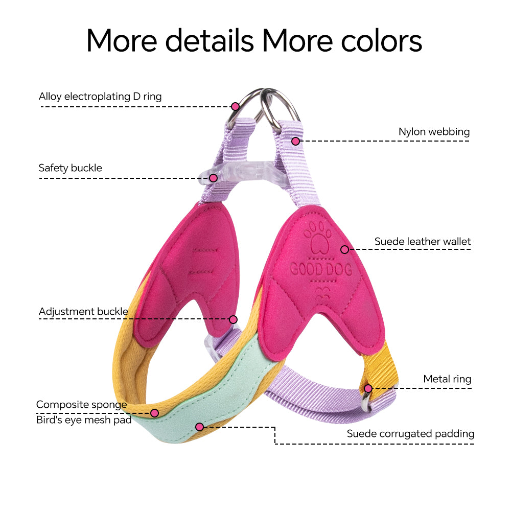 6.jpg|hash:f288cae09c8ff56777894dc62801c97a|type:detail