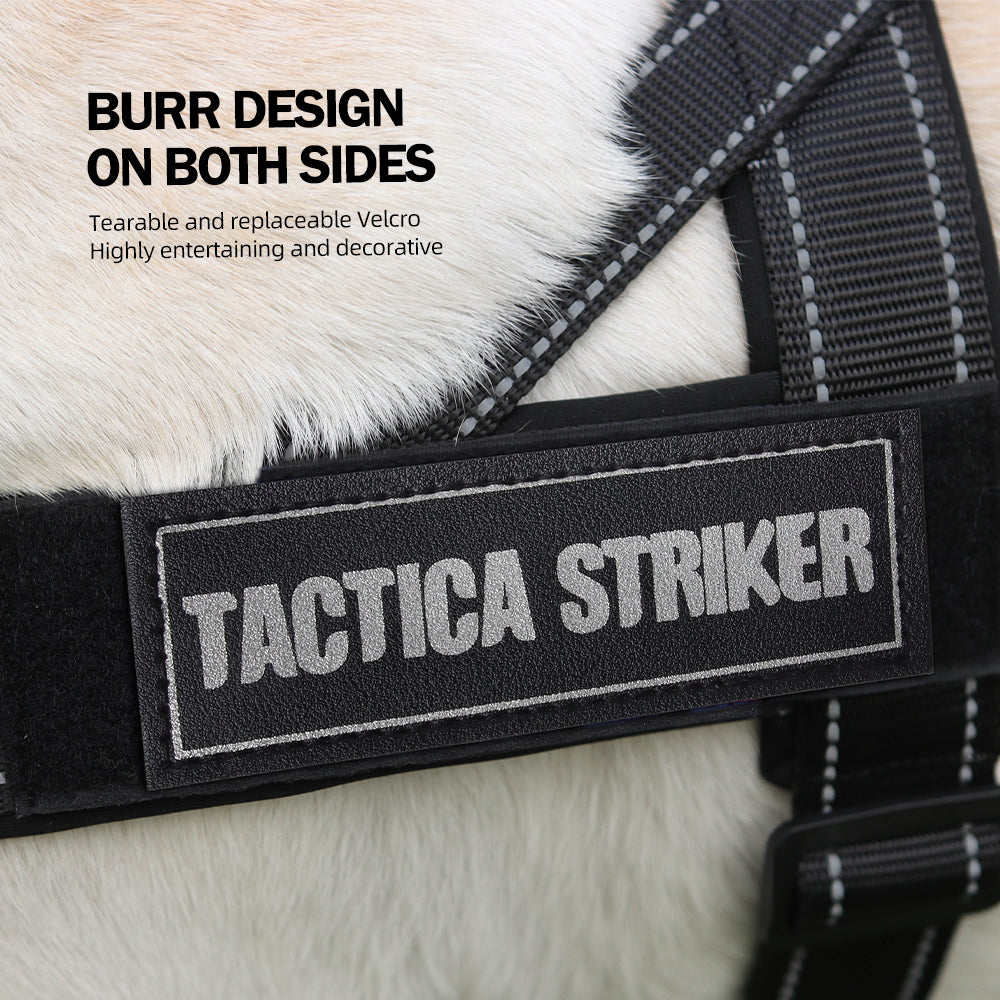 7.jpg|hash:000806f2ef1a36ac65db1724f1fb27ab|type:main