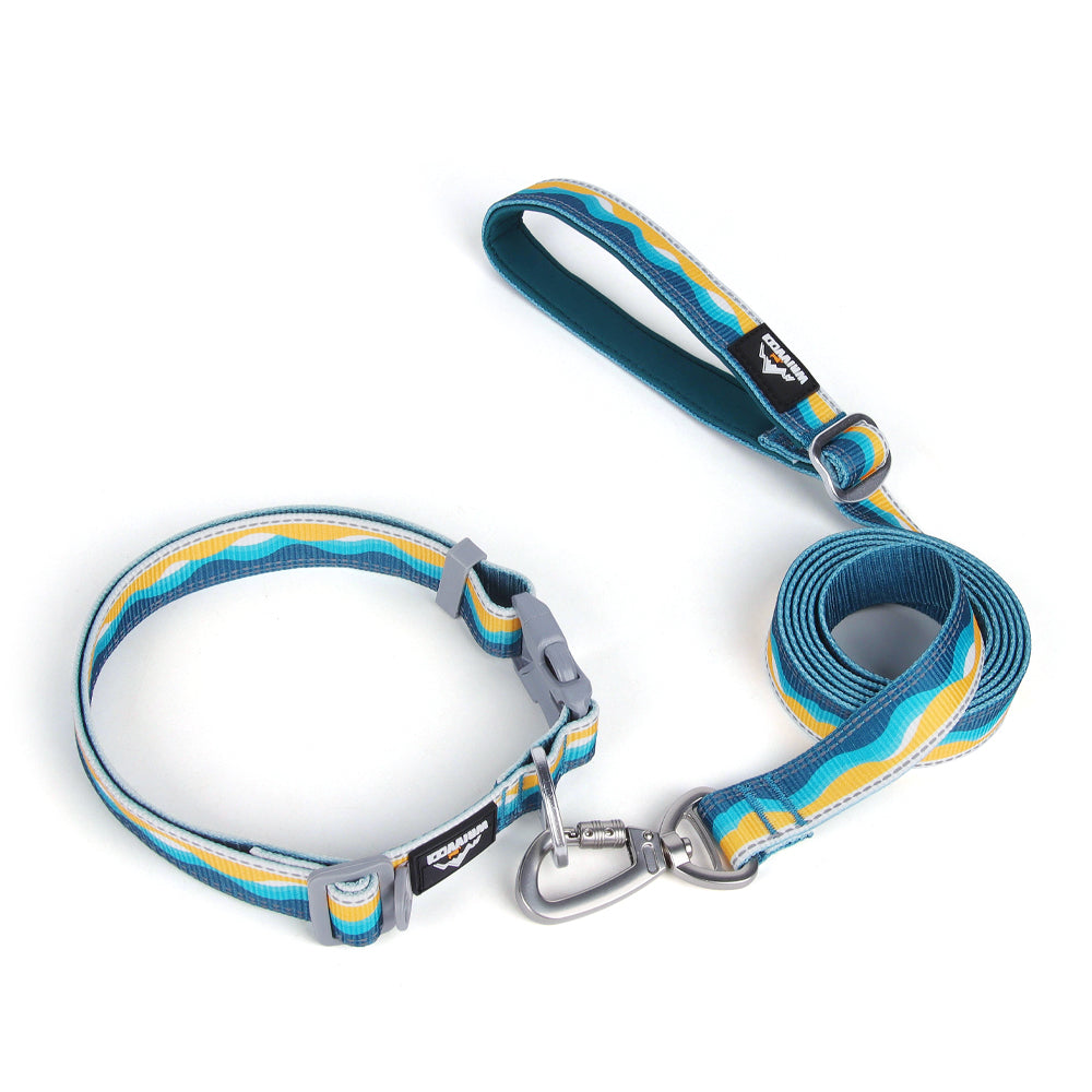 Patterned Dog Collar and Leash Combo